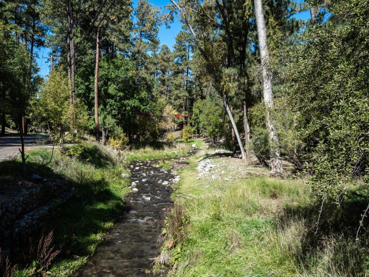 Sleeping Bear, 2 Bedrooms, Front Deck, Midtown, Sleeps 6 Ruidoso Eksteriør billede